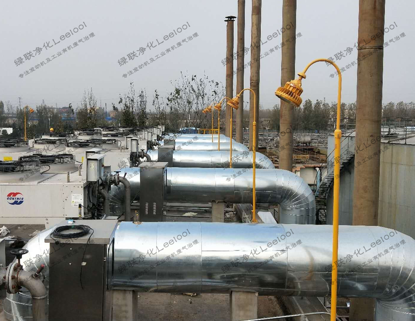 沼氣發(fā)電機(jī)組SCR脫硝系統(tǒng)