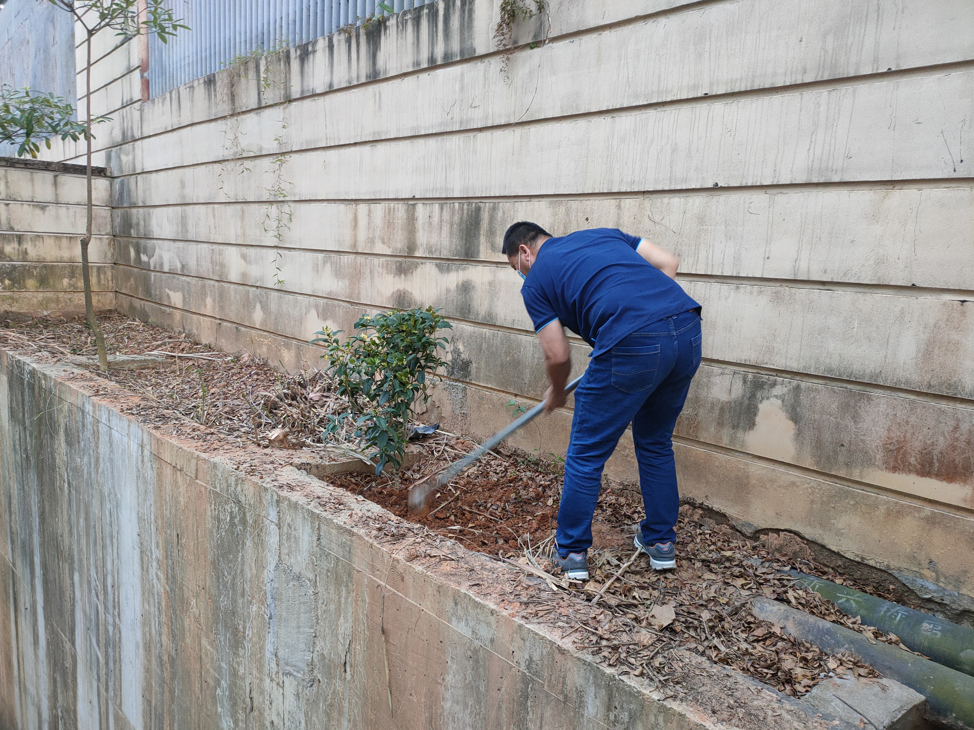 植樹現(xiàn)場 植樹現(xiàn)場