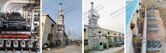 養(yǎng)殖場沼氣發(fā)電機(jī)組氮氧化物治理項目【綠聯(lián)凈化】